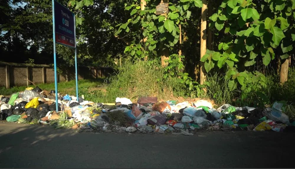My trash, your problem? Illegal dumping persists near Nagaland Zoological Park