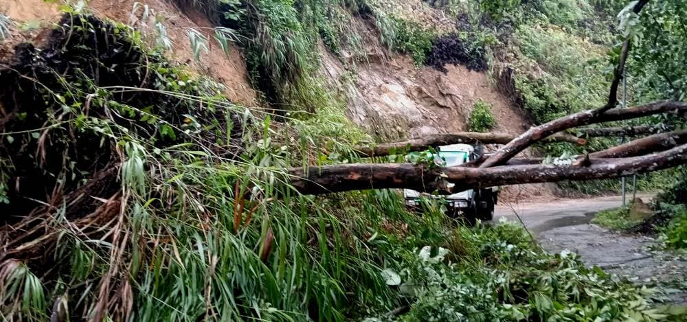 Electric lines damaged, roadblocks reported in Wokha