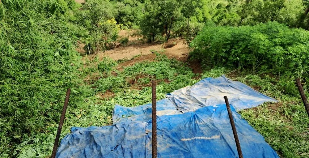 Massive landslide damages road, threatens homes in Kiphire