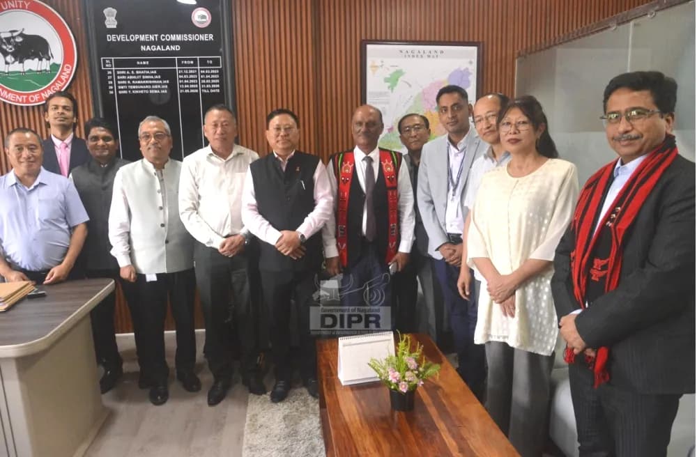 Nagaland, NETC explore power sector collaboration