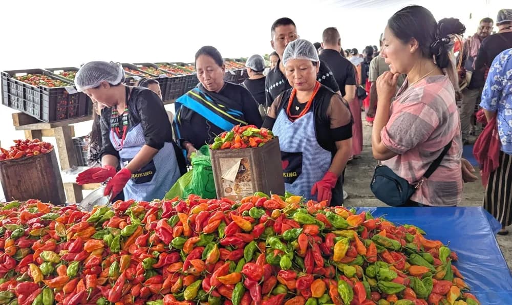Seiyhama hosts 4th Organic Naga King Chilli Festival
