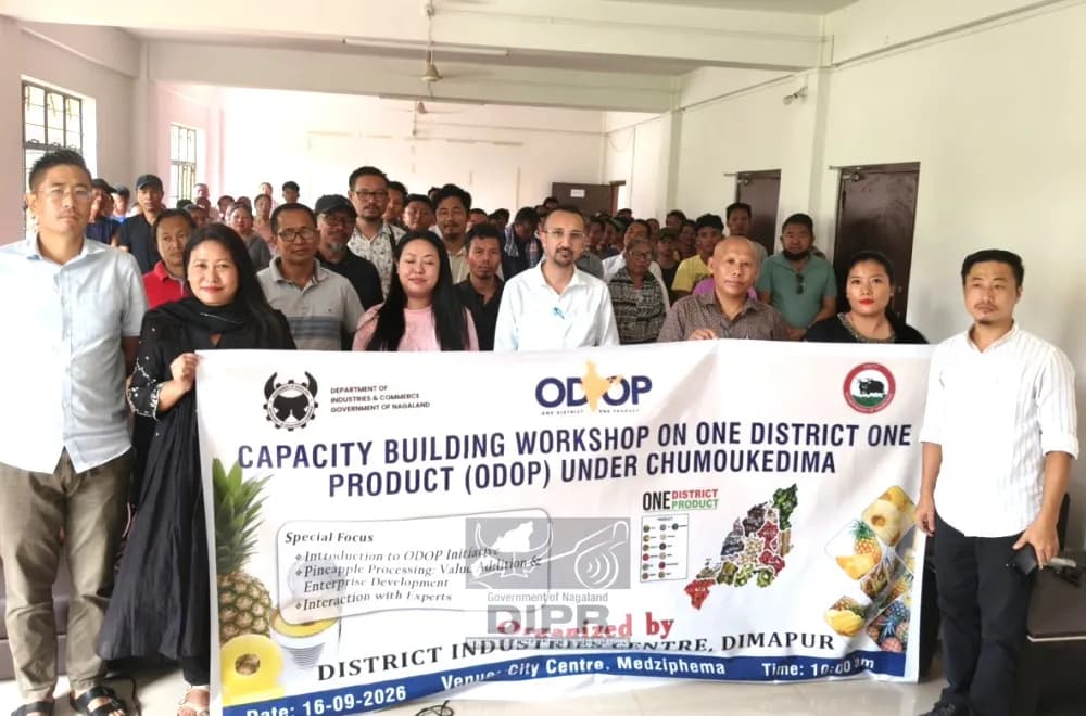 78 pineapple growers attend ODOP workshop in Medziphema