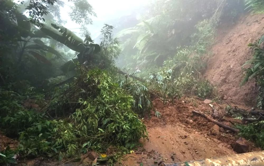 Mangkolemba hit by flash flood, Wokha by windstorm and mudslide