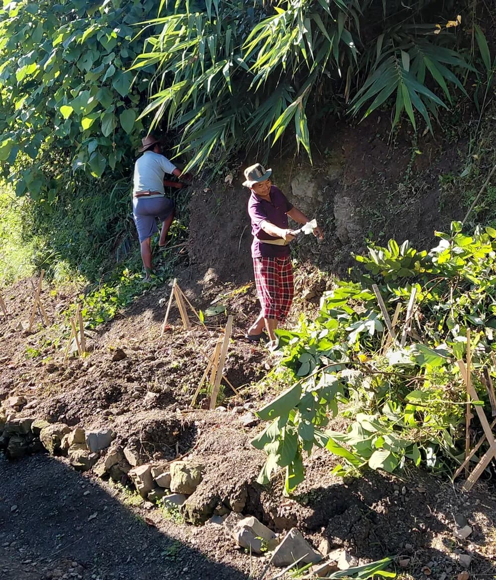 Kiphire ward conducts cleanliness drive