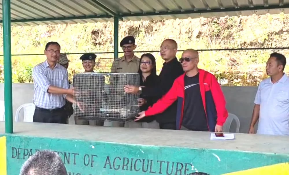 Nagaland: Forest department returns seized Great Barbet after youth body ultimatum