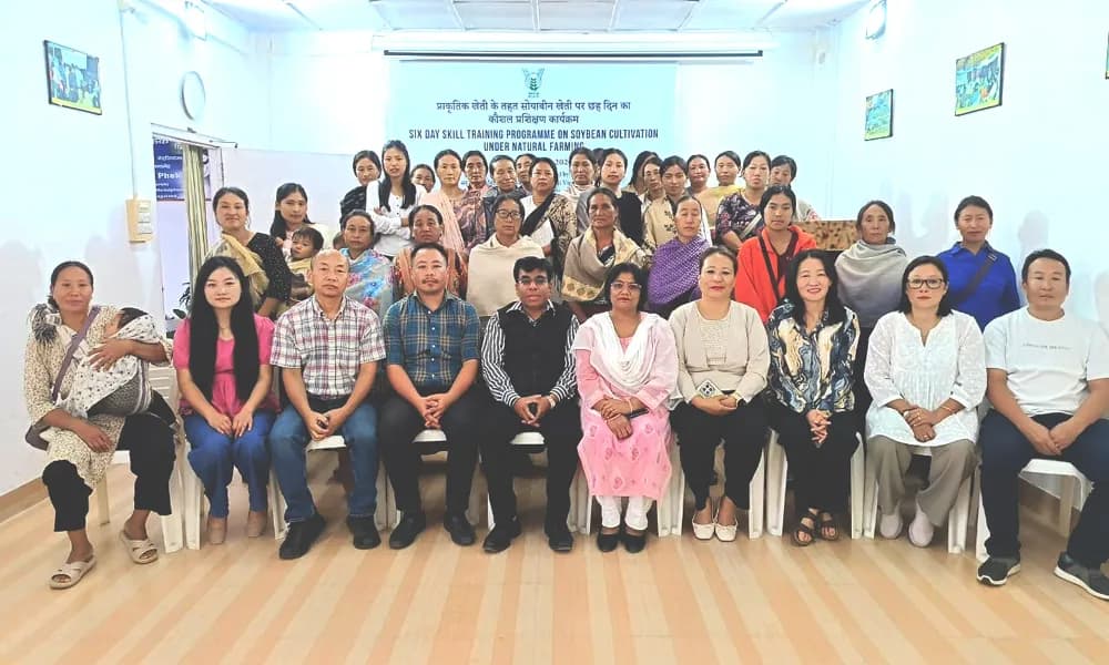 ICAR-KVK Phek organises skill training on soybean cultivation