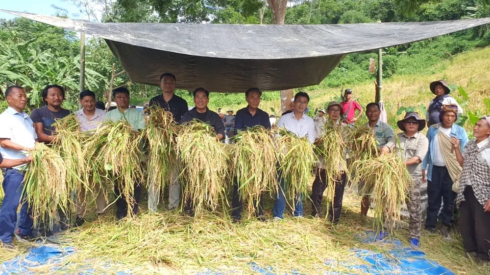 Ghatashi church turns to farming to fund building project